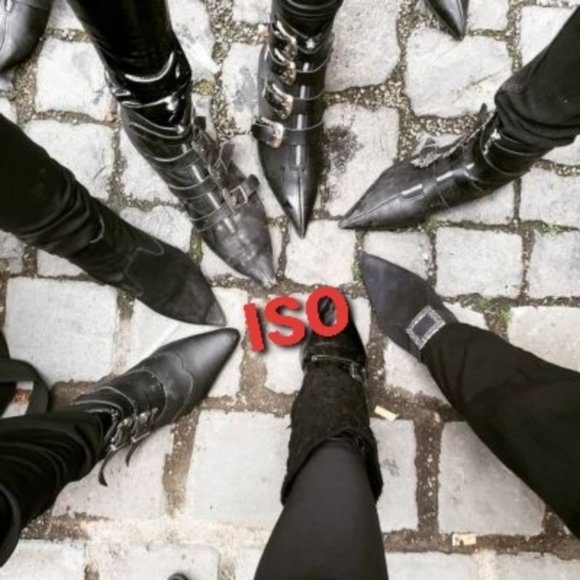 Shoes - ISO winklepickers / pikes / pointy goth boots